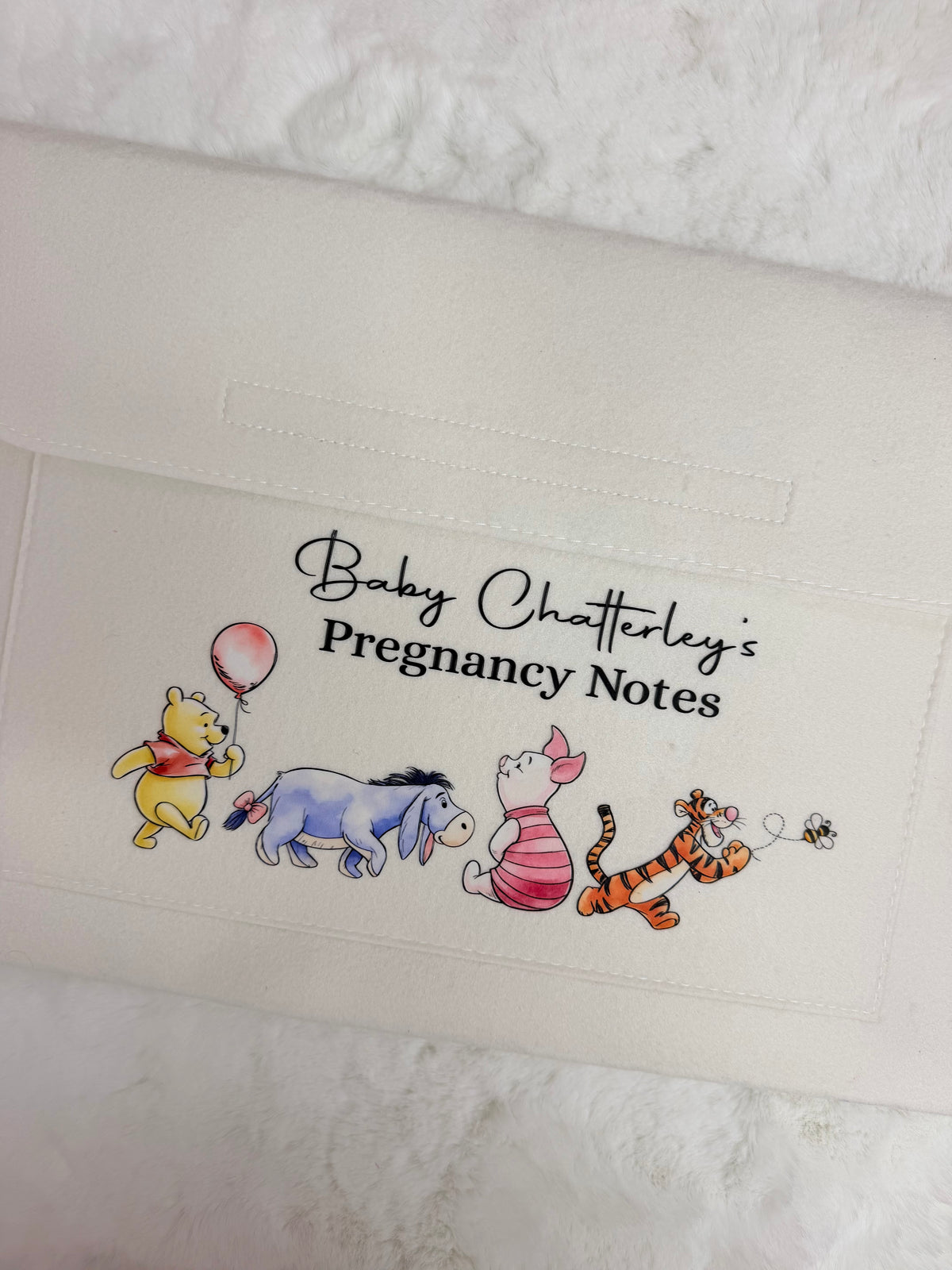 Pregnancy Folder