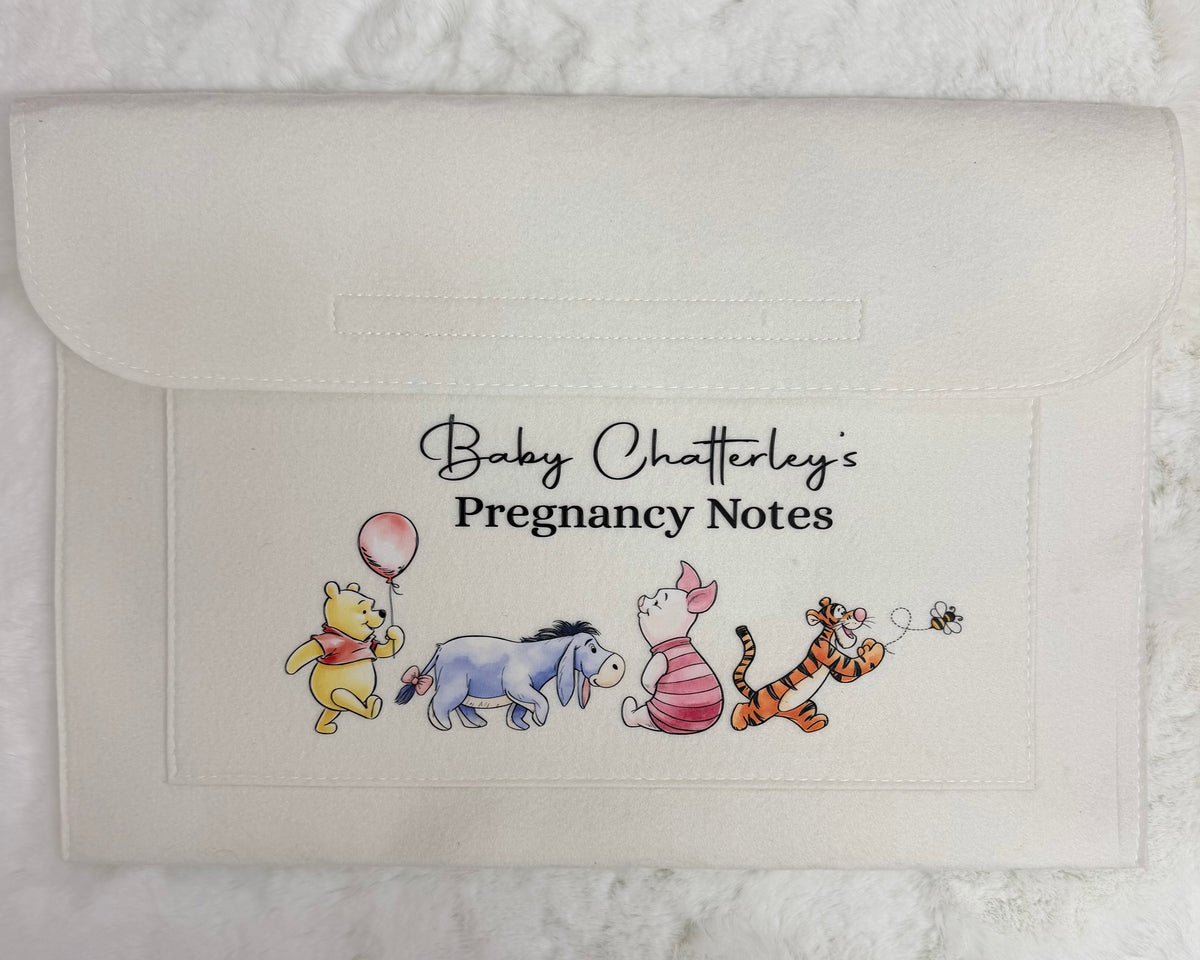 Pregnancy Folder