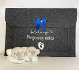 Pregnancy notes folder